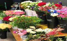 花店各种花的花语